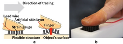 Rubber artificial skin layer with the flexible structure for the shape estimation of micro-undulation surfaces Finger sensor.webp