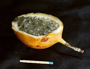 Passiflora ligularis Deutsch: Aufgeschnittene ...