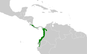 Distribución geográfica del hormiguero de Zeledón