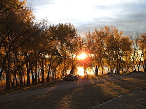 English: Looking east through trees at sunrise...