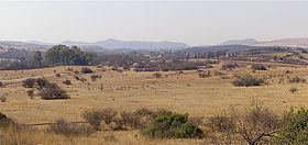 Highveld no inverno na província de Gautengue, ao norte de Joanesburgo