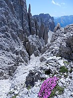 In cima alla ferrata Santner