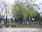 Wiener Neustadt - Jüdischer Friedhof