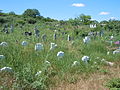 Cemetery in 2013 (before restoration)