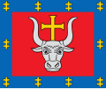 Kauno apskrities vėliava
