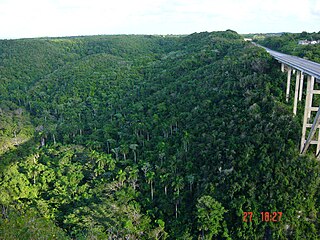 Fond de vallée