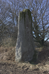 Menhir de Creac'h-an-Archant