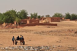 Children with donkey cart in Hamdallaye