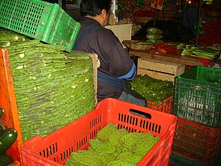 320px-Nopal_cacti_in_Merced.JPG