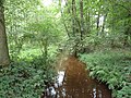 De Oostrumse Beek op het Landgoed Geijsteren, in stroomopwaartse richting gekeken