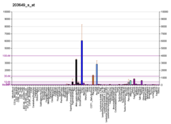 PBB GE PLA2G2A 203649 s в формате fs.png