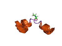 PDB 1mxq EBI.jpg