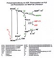 Miniature af versionen fra 21. jan. 2006, 14:26