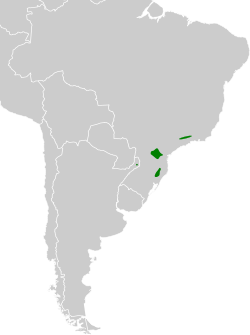 Distribución geográfica del bailarín castaño.