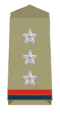 Инспектор полиции insignia.png