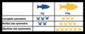 Image 16Table visualising size-symmetric competition, using fish as consumers and crabs as resources. (from Community (ecology))