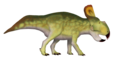 Protoceratops