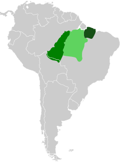 Distribución del trompetero aliverde