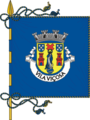 Bandeira de Vila Viçosa
