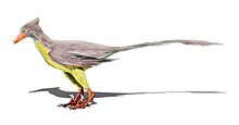Reconstruction of Rahonavis, a ground-dwelling feathered dinosaur that some researchers think was well equipped for flight Rahonavis NT.jpg