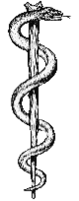 The Rod of Asclepius, the ancient Greek god of healing and medicine. This symbol has been adopted by health care organizations on a global scale. Rod of asclepius.png