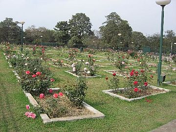 Rose Garden, Jamshedpur 