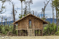 Rumah kaki seribu suku Arfak