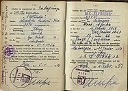 Seefahrtbuch MS Elfriede Nordische, Kiel - Kapitän Robert Clauß - 1956