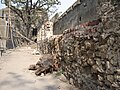 Sewri fort wall.jpg