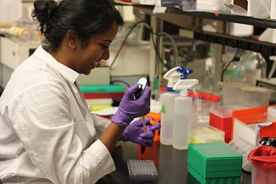 Scientists at Work by Katherine Stember