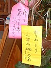 Dải giấy (短冊, Tanzaku?): lời viết tay ước muốn tốt đẹp cho Trái Đất và lời cảm ơn.