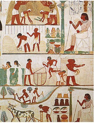 Agricultural scene from the tomb of Nakht, 18t...