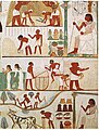 Image 17Agricultural scenes of threshing, a grain store, harvesting with sickles, digging, tree-cutting and ploughing from Ancient Egypt. Tomb of Nakht, 15th century BC. (from History of agriculture)