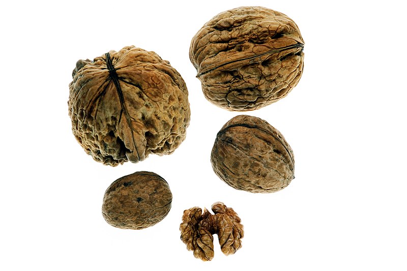 Persian Walnut: nut and edible seed.