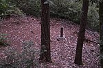 from the Wheeler Ridge Japanese Bomb Site (Brookings, Oregon)