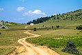 Μικρογραφία για την έκδοση της 10:49, 18 Μαΐου 2018