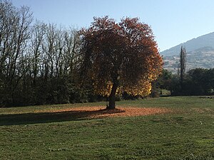 Есенски крајолик во селото