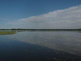 Вид на озеро Яссы летом 2021 года