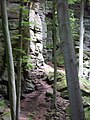 Im Wald bei Berdorf in Luxemburg, 30.05.2004