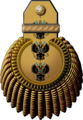 Адмиралъ Imperial Russian Navy (1904—1917)