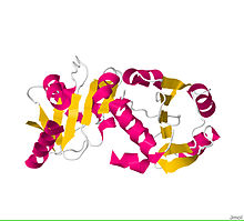 3O5V.pdb.jpg