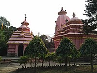 Dandesvara and Mahamaya temples