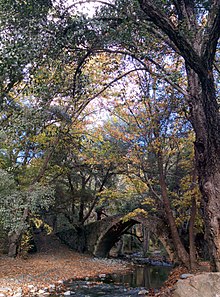 Stone bridge near Arminou, Paphos District, Cyprus