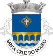 Vlag van Santa Cruz do Douro