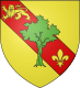 Coat of arms of Houppeville