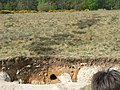 Breckland soil excavation