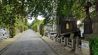 Allée du cimetière de Roubaix.