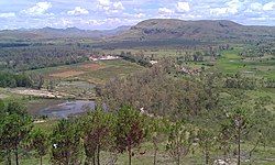 vineyards near Andoharanomaintso