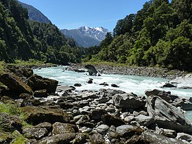 Karangarua RIver, Copland Track