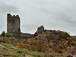 Castello di Dolwyddelan, luogo di nascita di Llywelyn il Grande